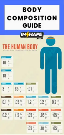 Body Composition Guide