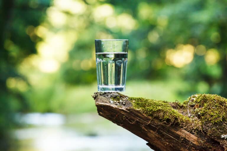 Alcohol During Intermittent Fasting Everything You Need To Know