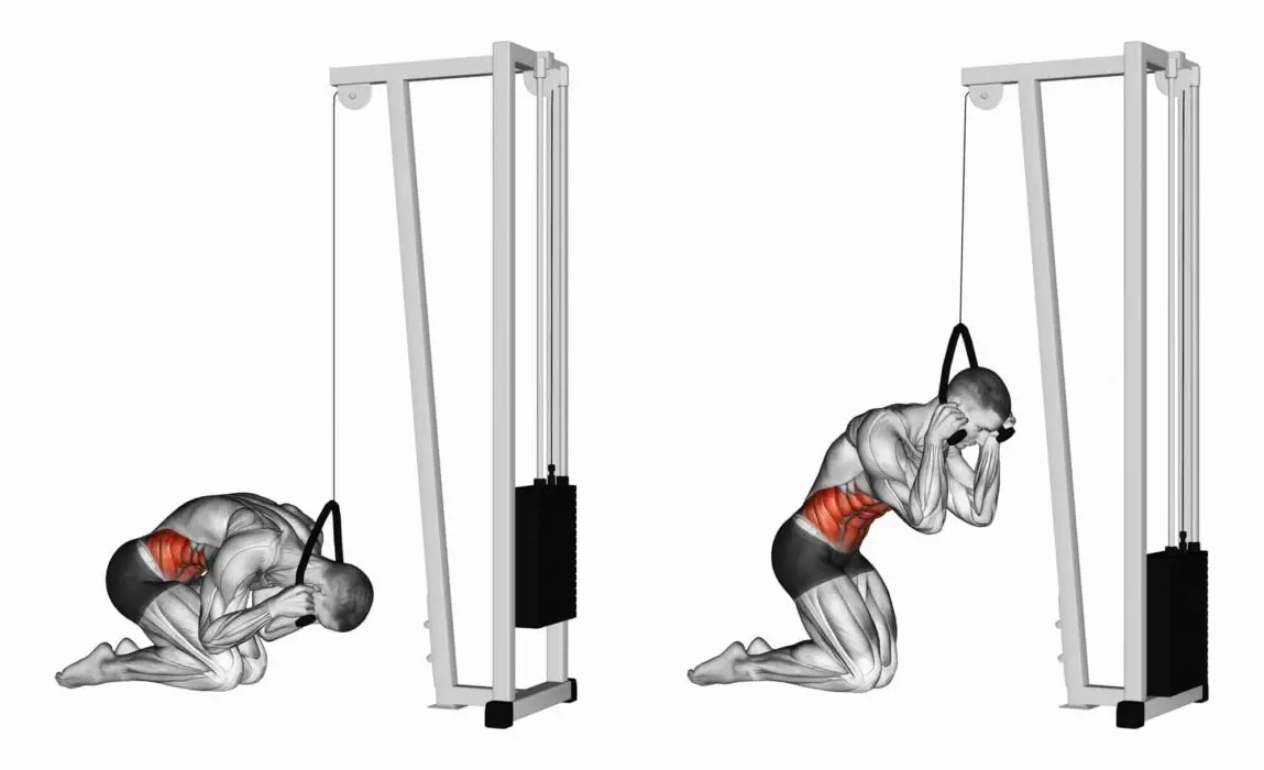abs cable crunch 