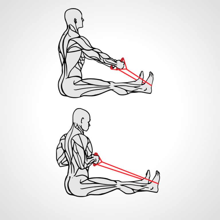 11 Seated Cable Row Alternatives (Home and Gym Versions) Be in shape