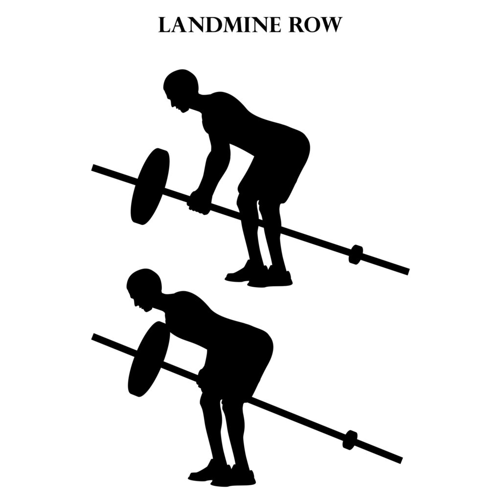 11 Seated Cable Row Alternatives (Home and Gym Versions) Be in shape