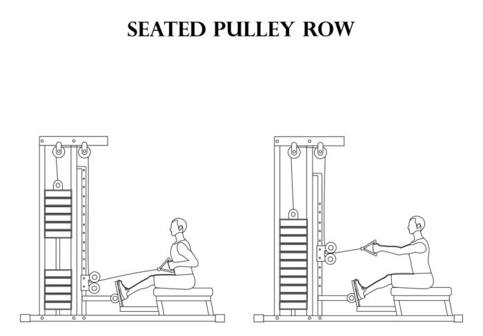 seated cable row 