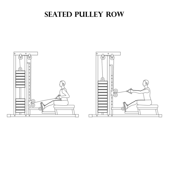 seated cable row 